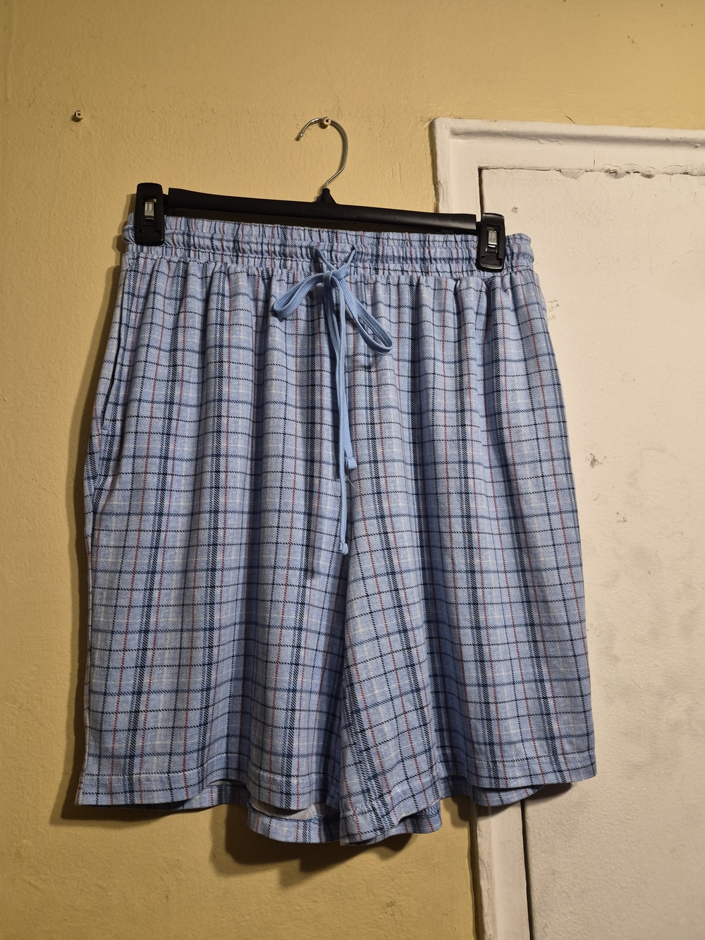 Source Unknown Men's Light Blue Plaid Shorts Size Large